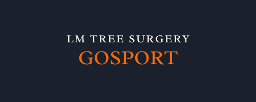 LM Tree Surgery Gosport